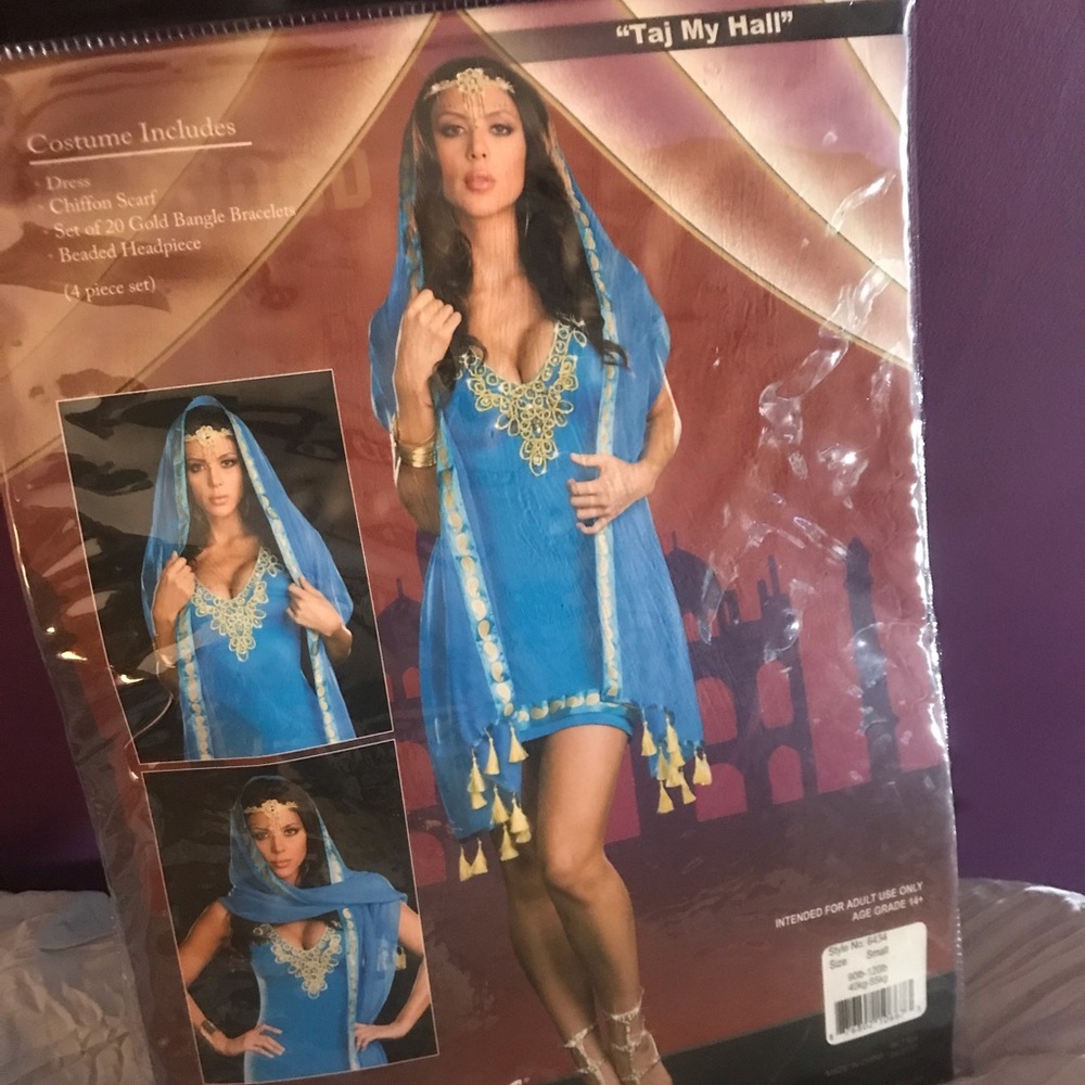 Taj my hall Halloween costume